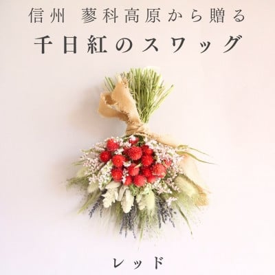 信州八ヶ岳の麓から贈る 千日紅のドライフラワースワッグM(レッド)【1659601】
