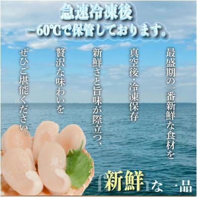ふるさと納税 南知多町 愛知県産　ジャンボ平貝(タイラギ)むき身　3個 |  | 01