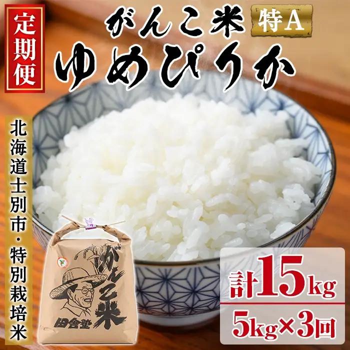 ＜令和8年産 先行予約！＞《定期便・全3回》田舎塾特別栽培米「がんこ米ゆめぴりか」(5kg×3回・計15kg) 【2026年10月中旬以降順次発送】 米 お米 白米 北海道産 北海道米 ゆめぴりか 特A 一等級 ごはん おこめ コメ 単一原料米 定期便 【田舎塾】【D7059】