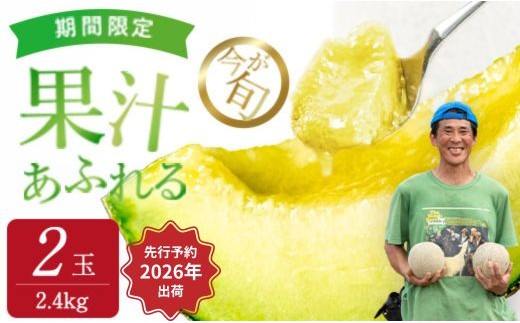 【来年2026年】先行予約！ジューシーな果汁たっぷりメロン ＼生産量日本一の実力！／ 旬の イバラキング メロン 1.2kg×2玉｜茨城県 鉾田市産 めろん 方波見農園 《安心安全栽培》上品な甘さ 絶品 産地直送 青肉 高級 おすすめ 人気 BMW農法 ジューシー 旬 大きい 甘い 国産 フルーツ 果物 ギフト プレゼント 贈り物