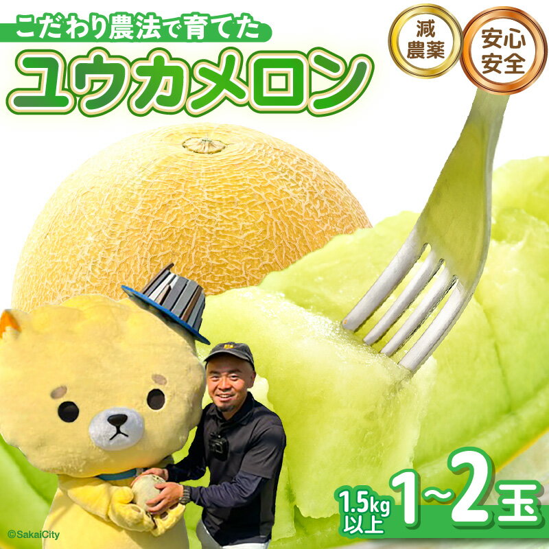 【ふるさと納税】【先行予約】 安心安全！減農薬！こだわり農法で育てた ユウカメロン 【選べる内容量：1玉 / 2玉】 1玉あたり：1.5kg以上 【2026年6月中旬以降順次発送予定】 【メロン めろん フルーツ デザート 果物 くだもの 果実 糖度 甘い 産地直送 国産】