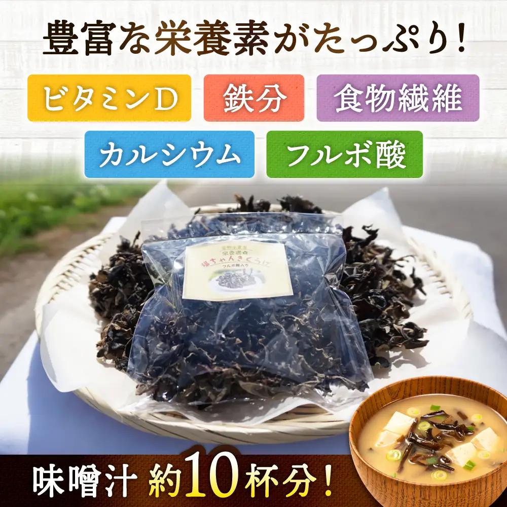 乾燥きくらげ 12g きくらげ キクラゲ[FDS001]