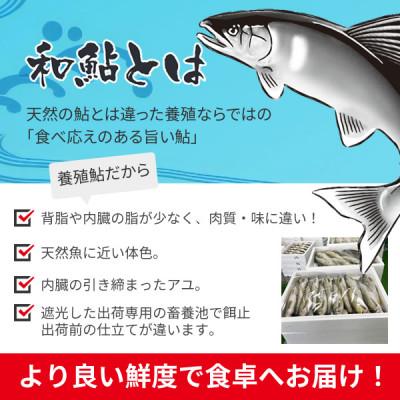 ふるさと納税 豊川市 とよかわ鮎 1kg - 厳選鮎使用!【おすすめお礼品】 |  | 01