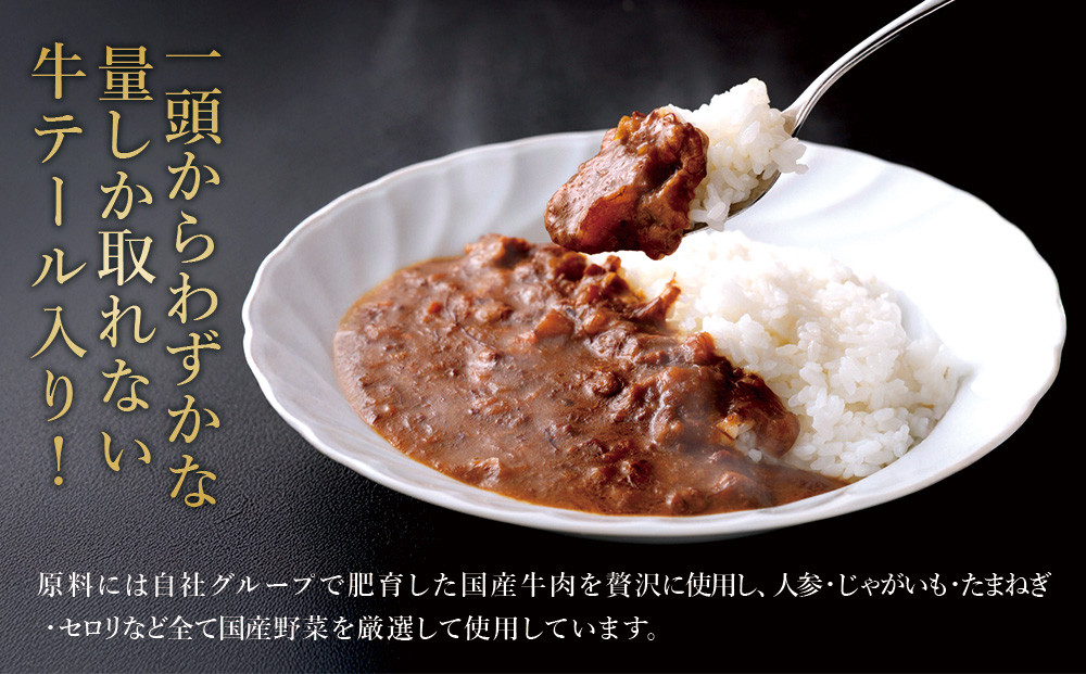 【選べる！】牛テールカレー セット