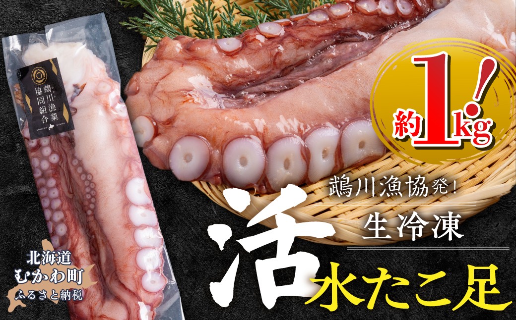 
                  鵡川漁協発！活水生たこ足冷凍（約1kg）  【 ふるさと納税 人気 おすすめ ランキング 北海道産 たこ 水蛸 蛸 タコ 刺身 水だこ 刺身用 魚介 海鮮グルメ 新鮮 海産物 北海道 むかわ町 送料無料】 MKWV004
                
