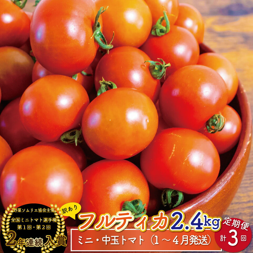 【ふるさと納税】フルティカトマト ＜約2.4kg×3回 定期便 訳あり ＞ 【常温】ミニトマト フルーツトマト 送料無料 ワケあり キズあり 規格外品 大容量 自宅用 高知県 ましまファーム アイメック【1月～4月頃発送】＜2026年1月頃より順次発送＞