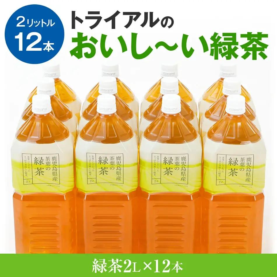 お茶 ペットボトル おいし～い緑茶 2L×12本 お茶
