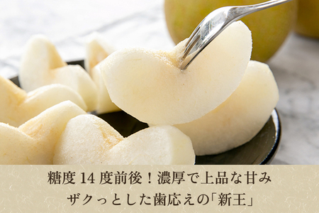 【2026年先行予約】「天果糖逸（てんかとういつ）」 新潟県産和梨 新王 約5kg（8～10玉）《9月下旬～配送予定》 しんおう 加茂市 えちご中越農業協同組合
