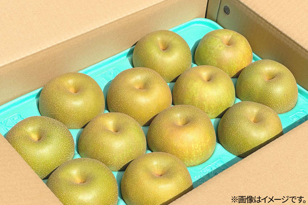 【先行受付】男鹿の梨 豊水 約5kg 8～14玉 梨 秋田県 男鹿市 ＜めぐみ農園＞9月中旬より発送