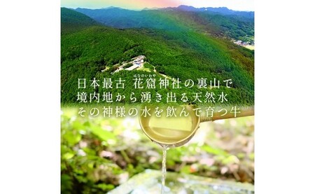 【美熊野牛】カレー