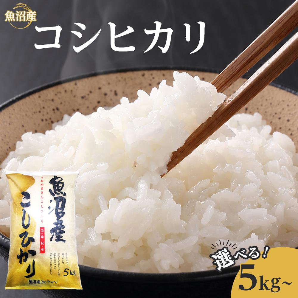 【ふるさと納税】魚沼産コシヒカリ5kg～10kg・各3～12ヶ月定期便 ※2025年10月～発送開始｜新潟県 魚沼 こしひかり 令和7年産
