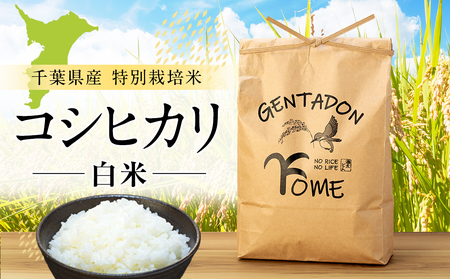 AB1-003 特別栽培米　コシヒカリ（白米）4.5kg
