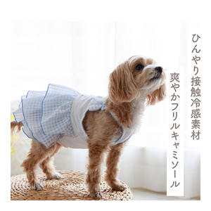 冷感素材ギンガムフリルキャミソール  ホワイト×サックス  涼感 ドッグウェア 【ココアトワ(cocoAtoi)】 Ｌ