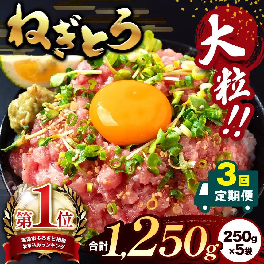 【定期便・3ヶ月】清幸丸水産 大人気！ねぎとろ（250g×5袋）1250g | ネギトロ とろ 鮪 海鮮 魚介 魚 人気 小分け 人気 定番 ご飯 オススメ 千葉県 君津市 きみつ