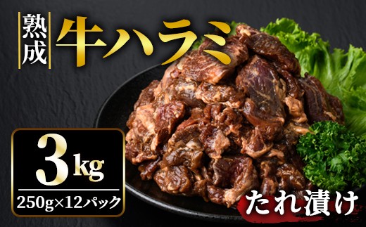 熟成牛ハラミ 3kg (250g×12パック) たれ 味付 小分け 冷凍 焼肉 焼き肉 牛 牛肉 ビーフ ハラミ BBQ 【そうざい男しゃく】【ho1470】