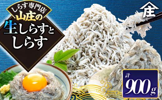 生しらす 400g 訳ありしらす干し 500g セット 冷凍 刺身 真空パック しらす干し 炒飯 パスタ ごはん 丼 サラダ 魚 料理 愛知県 南知多町 師崎 シラス しらす 小魚 魚貝 魚貝類 しらす シラス 海鮮 しらす丼 シラス丼 ふるさと納税しらすしらす おすすめ 大人気 南知多産しらす愛知県産しらす シラス しらす しらすごはん shirasu sirasu SIRASU 人気シラス