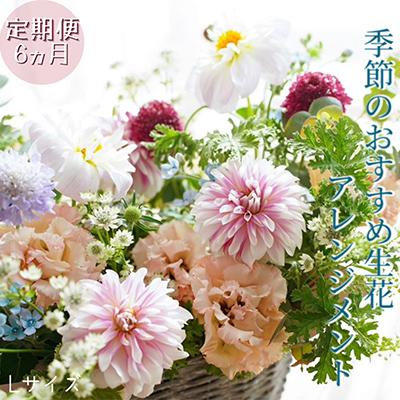 ふるさと納税 芸西村 【毎月定期便】芸西村産季節のアレンジ アレンジメント カゴ付 L全6回
