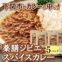 【ふるさと納税】 薬膳 ジビエ スパイス カレー 下関産 鹿肉 170g × 5袋 お取り寄せ ごはんのお供 シカ 無添加 低脂肪 高タンパク 下関市 山口 肉特集