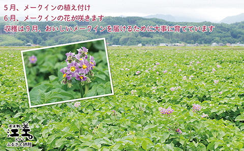 《早期予約・8月下旬から出荷予定》北海道産 メークイン 5kg M・L混合　しっとり甘い江差産　北海道のじゃがいも　芋の塩煮にぴったり　訳あり　じゃがバター　いかの塩辛と一緒にどうぞ