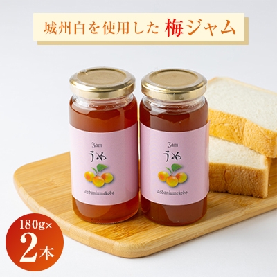 
爽やかな朝のスタートに梅のピュアな香りと酸味の効いた＜梅ジャム＞　180g 2本セット【1274510】
