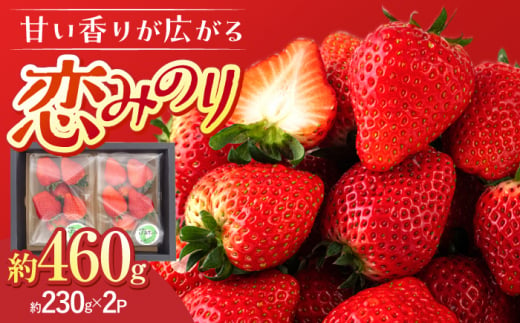 【先行予約】大塚ファームのいちご「 恋みのり 」230g×2パック【12月中旬以降順次発送】 ▼ ギフト　贈答 いちご イチゴ 苺 甘い あまい 果物 人気 恋みのり 桂川町/大塚ファーム[ADAB002]