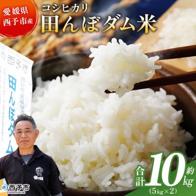 ふるさと納税 西予市 <令和7年産 愛媛県西予市産 コシヒカリ 田んぼダム米 10kg> 選べる 10キロ こしひか