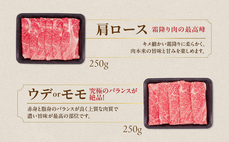 畜産農家応援! 宮崎牛スライス2種セット250g×2パック+豚肉ハンバーグ100g×4個≪みやこんじょ快速便≫_13-N201-R-ESH_(都城市) 宮崎県産宮崎牛 肩ローススライス 宮崎牛ウデ又は