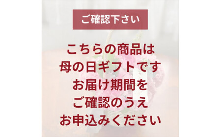《母の日限定》カーネーションのバスケットアレンジメント(Sサイズ)イエロー系＜出荷時期：2026年5月6日～5月9日＞