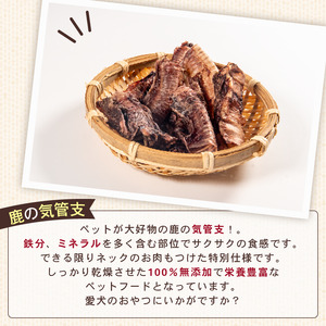 犬用 シカ の 気管支 50 g× 5 袋 ジビエ 鹿肉 肉 鹿 ペットフード ドッグフード ペット 安心 健康 おやつ 犬 国産 ごはん ペット ペット用品 ペットフード 犬のおやつ 犬用 ペット用