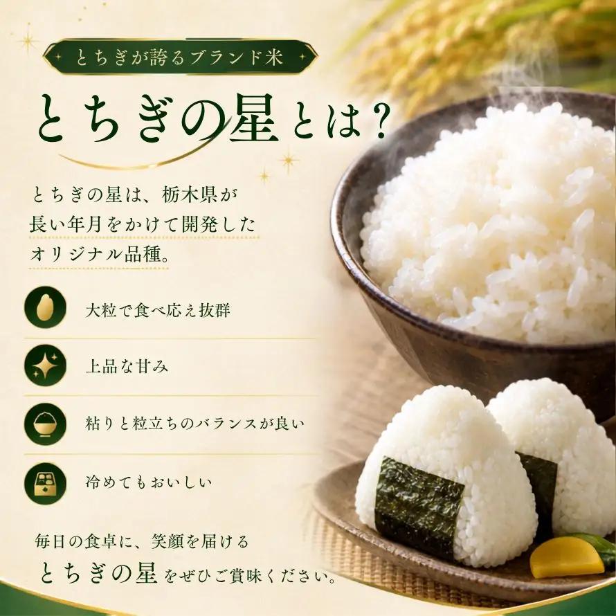令和7年産 真岡市産 とちぎの星（お試しサイズ） 米 3合×2袋 | お米 送料無料