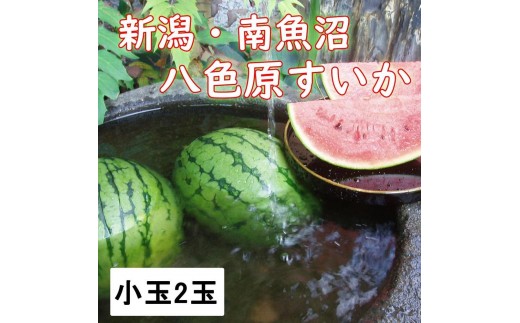 【先行予約】【新潟県 南魚沼産】八色原スイカ小玉２玉【西瓜 スイカ すいか 小玉 季節限定 果物 フルーツ ギフト 名産地 産地直送 シャキシャキ 厳選 デザート 新潟県】【2026年7月中旬発送】【お届け日時指定不可】
