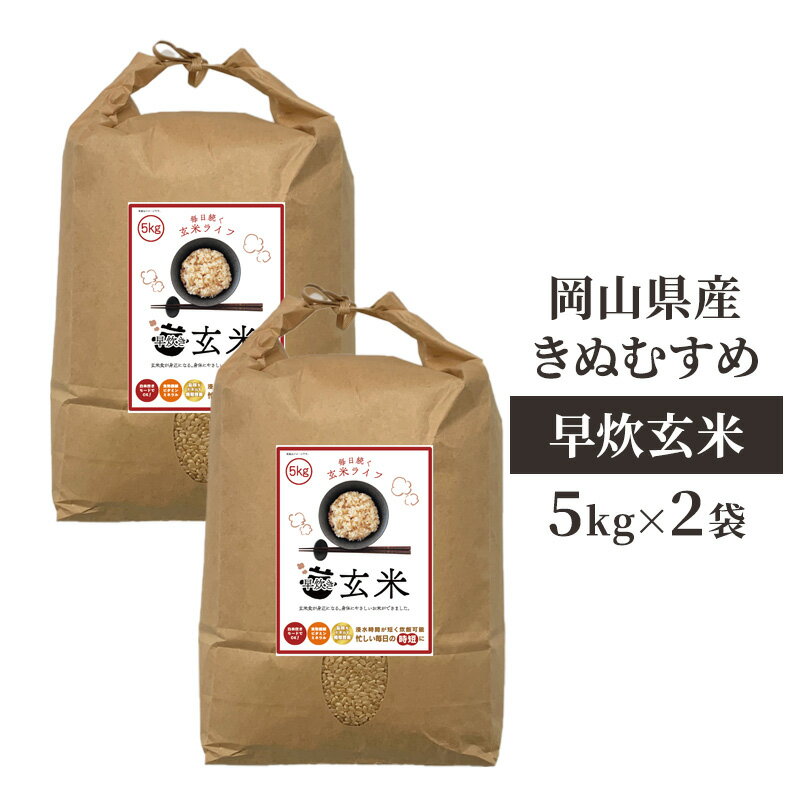 【ふるさと納税】令和7年産 早炊 玄米 きぬむすめ 5kg×2袋 岡山県産　お米 米 コメ 国内産