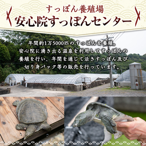 安心院べっぴんこらーげんスープ(計1.2kg・200g×6P)すっぽん スッポン コラーゲン レトルト 小分け 冷蔵【102700501】【安心院すっぽんセンター】