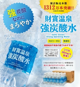 D4-2258／【3回定期】 財寶温泉強炭酸水 500ml×24本×2箱 合計48本