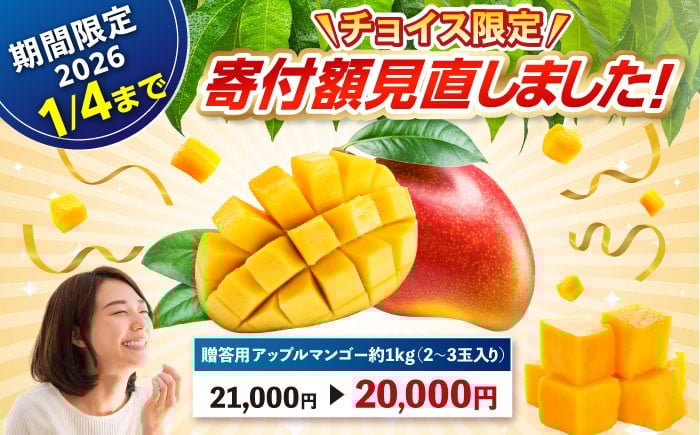 【先行予約 2026年発送 予約受付】【贈答用】仲村農園の完熟アップルマンゴー1kg マンゴー 沖縄 マンゴー 先行予約 