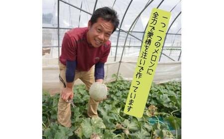 【訳あり】イバラキングメロン（大）2玉（約3kg以上）