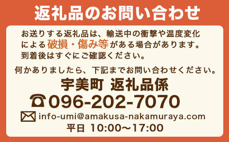 宇美町バラエティーセット4　全2回定期便 HY004