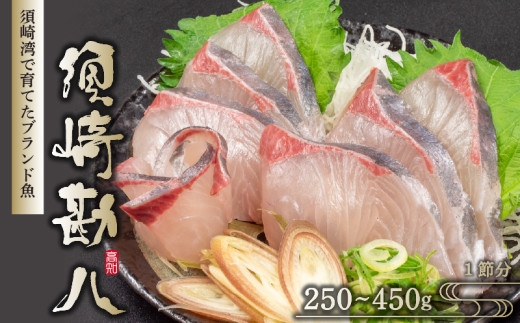 須崎勘八 250g以上  勘八 環八 カンパチ かんぱち ブランド 魚 鮮魚 冷凍 海鮮 刺身 さしみ 焼き魚 料理 簡単調理 背 腹 下処理有 高知県 須崎市 NS028