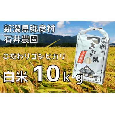 ふるさと納税 弥彦村 新潟県弥彦村石井農園　令和7年産コシヒカリ【白米 10kg】