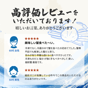 越前ガニ 訳あり ボイル1杯 約600g～700g未満 越前ガニ