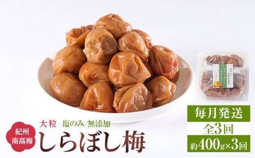 梅干し しらぼし梅 約400g 塩のみ 無添加 大粒 紀州南高梅 塩分約15％ 和歌山県産 [ 定期便 毎月発送・全3回 ]