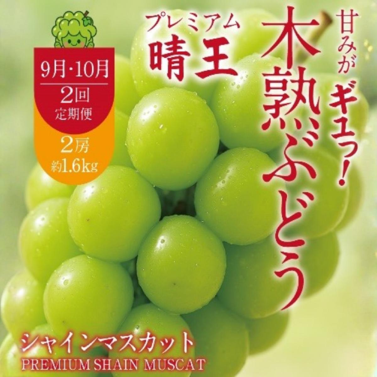 
                  【2回定期便】木熟ぶどう ハレノシャイン シャインマスカット プレミアム  晴王 2房 (1.6kg以上)2回お届け | シャインマスカット 晴王 ハレノシャイン 木熟ぶどう プレミアム 800g以上 1房 岡山県産 ぶどう 葡萄 大房 高糖度 甘い 種なし 皮ごと食べられる フルーツ 果物 人気 産地直送
                