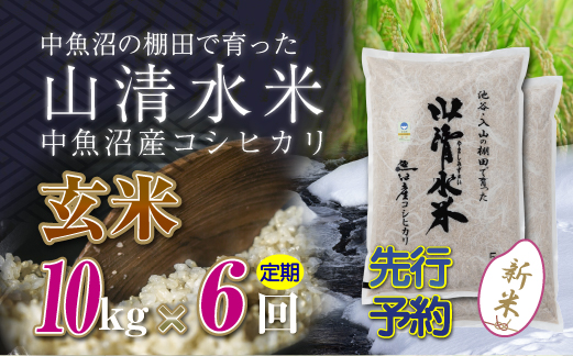 【新米先行受付】【定期便／全6回】玄米10kg　新潟県魚沼産コシヒカリ「山清水米」