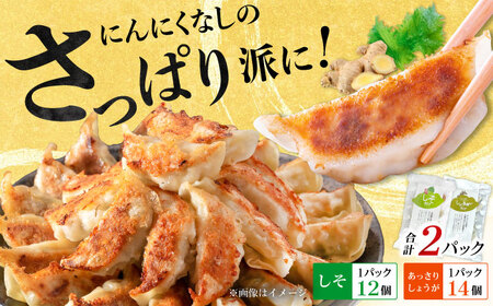 【お中元対象】【さっぱり！しそ＆しょうが派×1パック】餃子2種セット！【餃子屋ヒロ】開成町 餃子 点心 惣菜 冷凍[BDAS008-2]