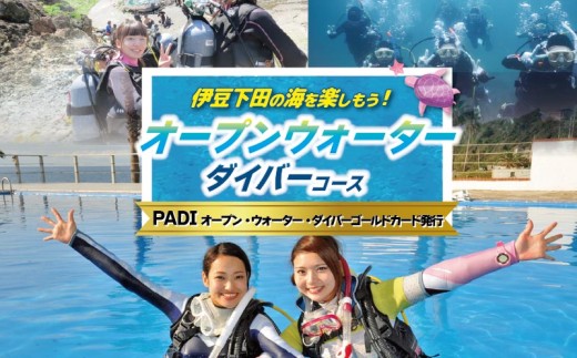 ダイビング PADI スクール 資格取得 PADI ゴールドカード 3日間 1名 オープンウォーターダイバー コース ライセンス保持者 アウトドア スポーツ 海 アクティビティ マリンスポーツ レジャー 旅行 観光 ドラゴンレディ 静岡県 下田市 伊豆