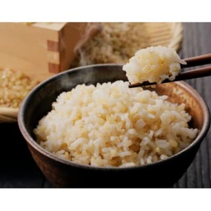 【令和7年産】信州八ヶ岳山麗 長野県産コシヒカリ 玄米　5kg(5kg×1袋)【1719530】