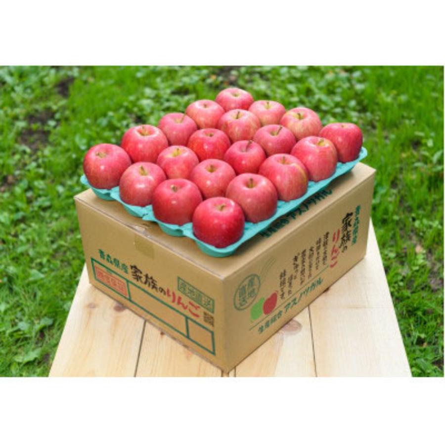 【2026年10月発送予定】平均糖度１２度以上　贈答用早生ふじ10kg