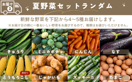 【先行予約】 夏の宝石野菜と三五八(さごはち)セット ※限定50セット 人気 おすすめ 野菜 夏野菜 やさい 三五八 さごはち 発酵 発酵食品 健康 腸活 農家直送 新鮮 ギフト 贈答 中トマト ミニ