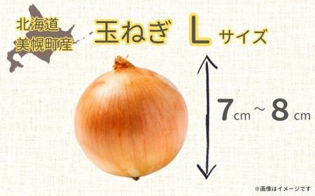 玉ねぎLサイズ・20kg 玉ねぎ たまねぎ 野菜 カレー 日持ち 北海道 美幌町 送料無料 BHRG030