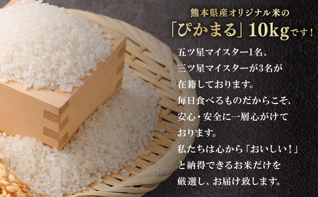 熊本県産ぴかまる 5kg×2袋